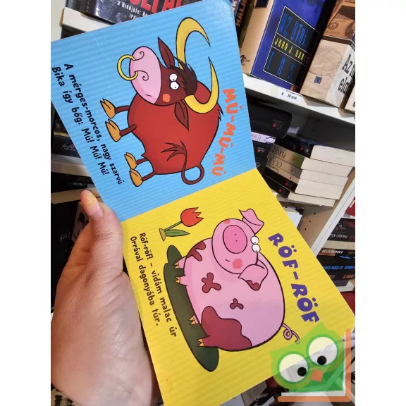 Szilvásy András: Ismerkedem a hangokkal a falun