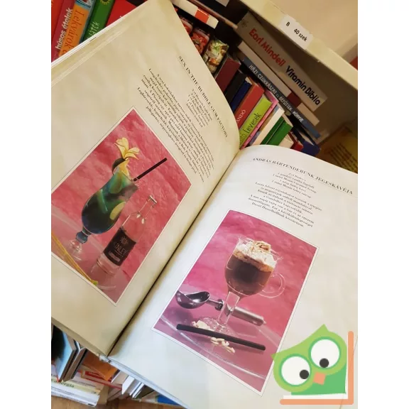 Antal B. Gábor: Többnyelvű italkislexikon, Lajsz András koktélreceptjeivel