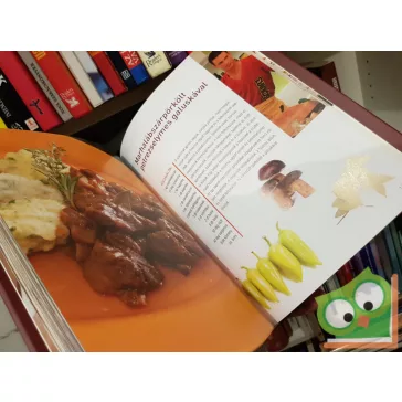 Borlay Cili (szerk): Ízutazás 42 magyar hírességgel