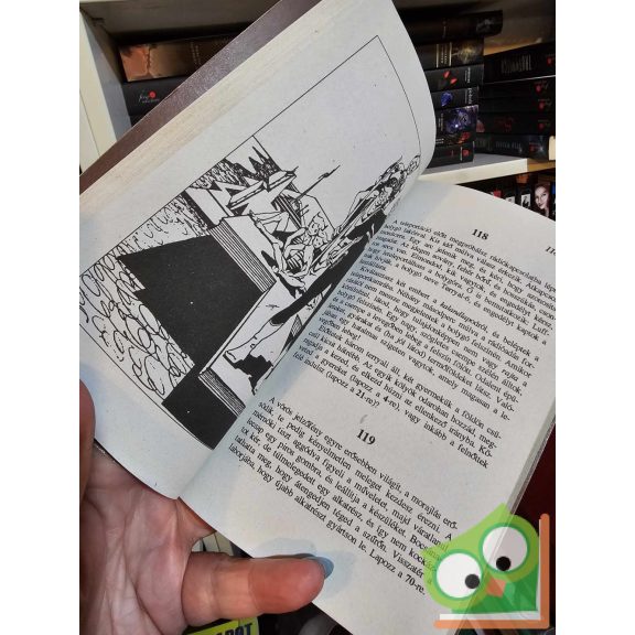 Steve Jackson: Csillaghajó (Fantázia Harcos 8.) (ritka)