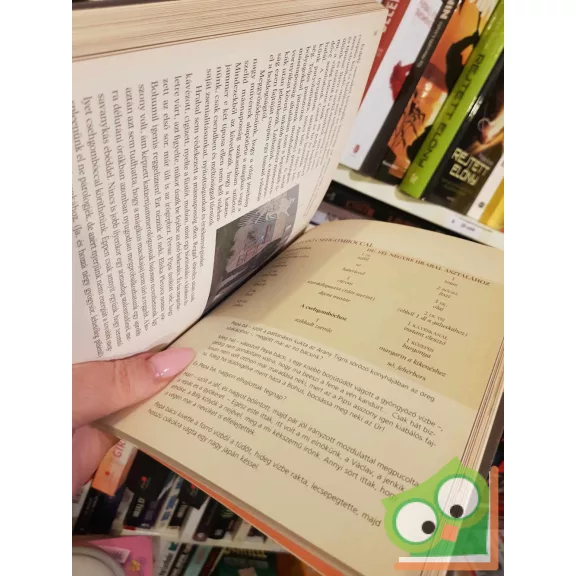 Cserna-Szabó András - Darida Benedek: Jaj a legyőzötteknek, avagy süssünk-főzzünk másnaposan