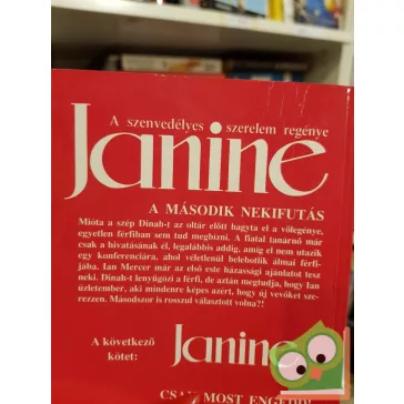   Ellen Piano: A második nekifutás (Janine - A szenvedélyes szerelem regénye)