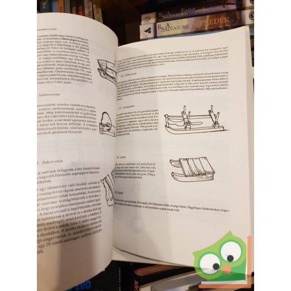 Petrás Anna(szerk.): Játékiskola 1-2. (ritka)