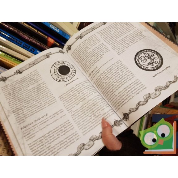 John Wick - Jennifer Wick - Kevin Wilson: Játékosok könyve (7tenger) - 1668 -