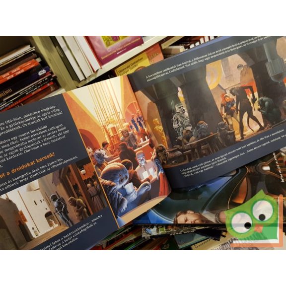 Tony DiTerlizzi: Luke Skywalker, jedi lovag kalandjai  (Star Wars)