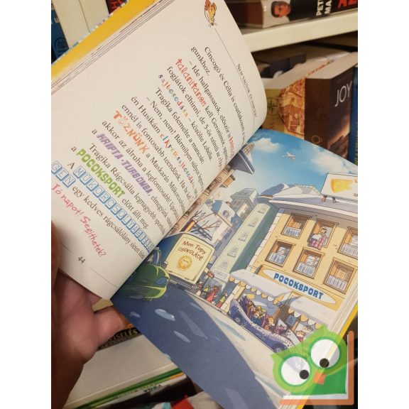 Geronimo Stilton: A jégpálya bajnoka (Geronimo Stilton - Mulatságos történetek 8.)