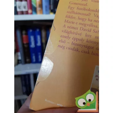 David Safier: Jézus szeret engem