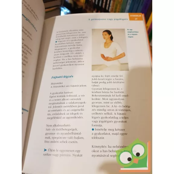 Harry Waesse: Jóga kezdőknek (a test és a lélek megerősítése,Egészséges életmód)