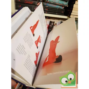   Paramhans Swami Maheshwarananda: Jóga a mindennapi életben rendszer (ritka)