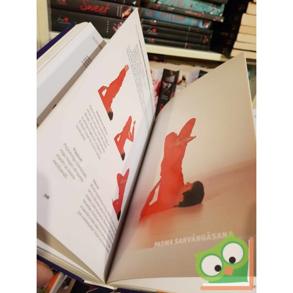 Paramhans Swami Maheshwarananda: Jóga a mindennapi életben rendszer (ritka)