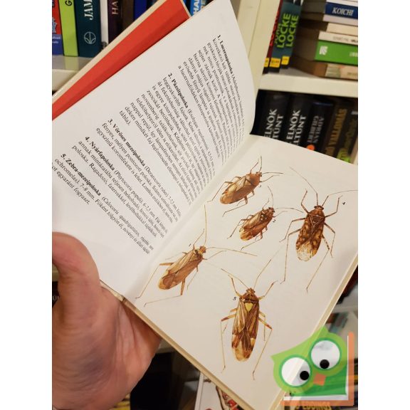 Vásárhelyi Tamás: Kabócák, bodobácsok (Búvár zsebkönyvek)