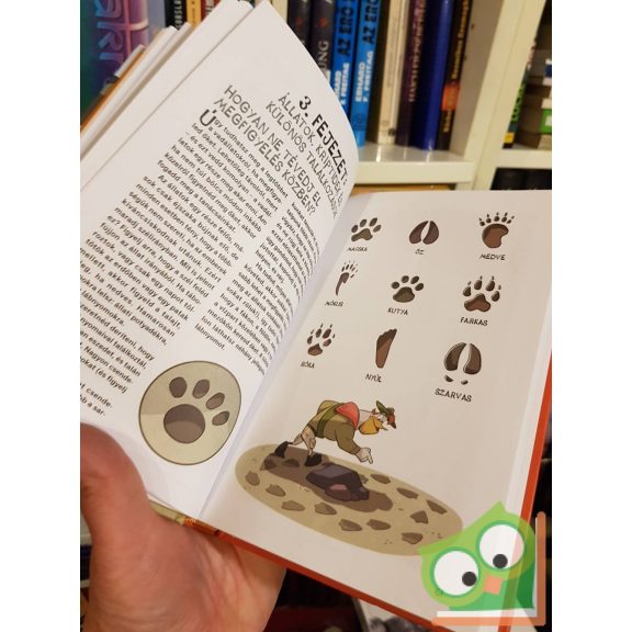 Kacsamesék - Ifjú Mormoták kézikönyve