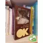 Franz Kafka: Az éhezőművész