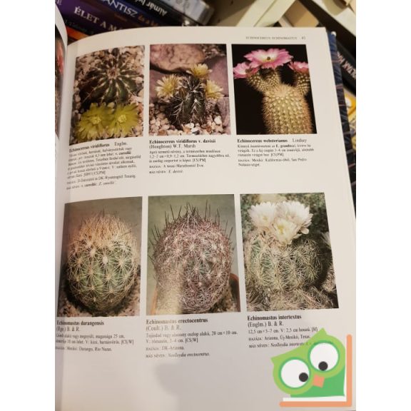 Rod Preston-Mafham, Ken Preston-Mafham: Kaktuszok képes lexikona (ritka)