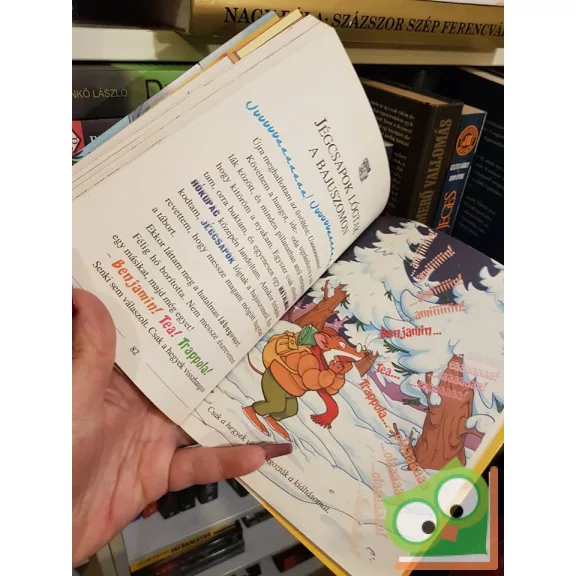 Geronimo Stilton: Kaland a Himaláján (Geronimo Stilton 21.)