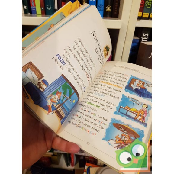 Geronimo Stilton: Kalandos kiruccanás Hawaiira (Geronimo Stilton – Mulatságos történetek 4.)