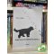 Kállai R. Gábor: Franz Kafka rejtőzködő filozófiája