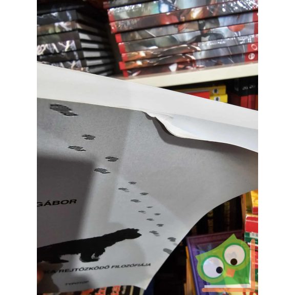 Kállai R. Gábor: Franz Kafka rejtőzködő filozófiája