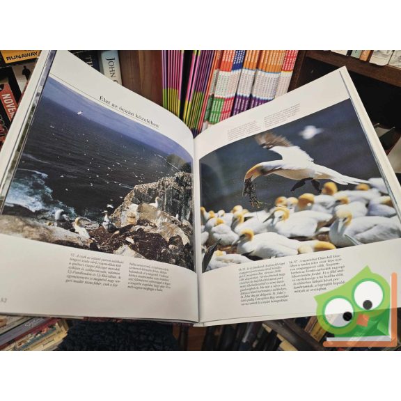 Beth Duthie - Peter Duthie: Kanada - Észak távoli határa