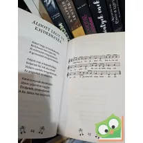   Rus Ibolya (szerk.): Karácsonyi dalok, versek, mondókák (Varázslatos mesebirodalom)
