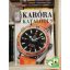 Karóra katalógus 2006.