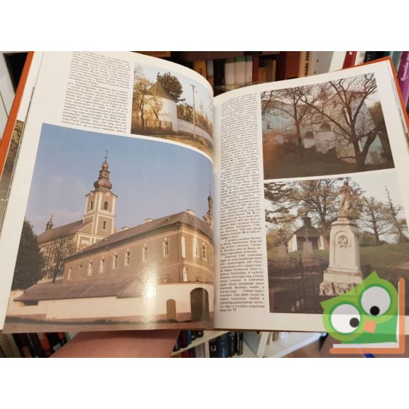 Szacsvay Imre, Szacsvay Péter, Legeza László: Kárpátalja