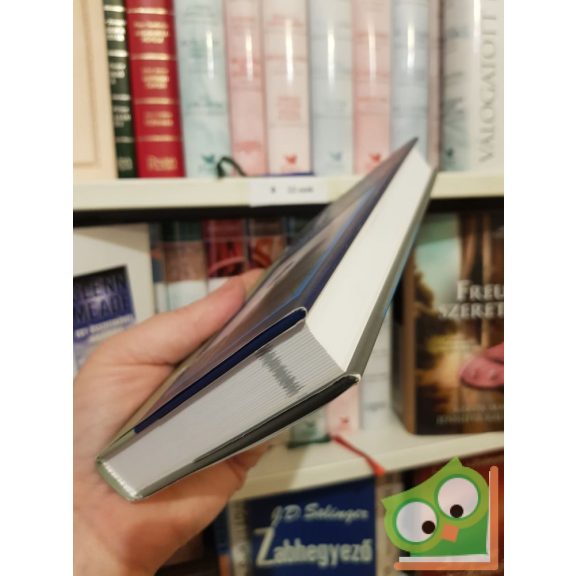 Kathy O'Beirne: A Magdolna nővérek (Kathy története)