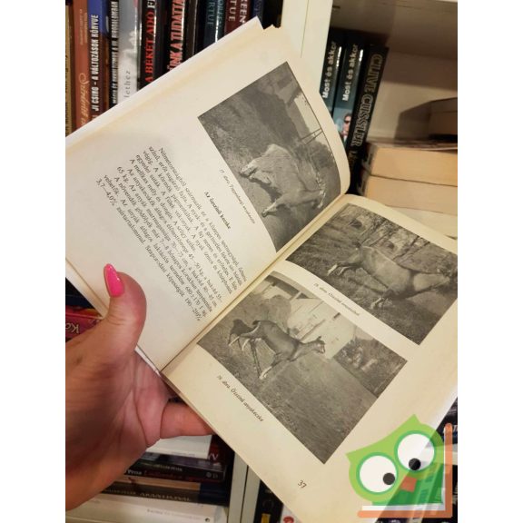 Várkonyi József - Áts Eteléné: Kecsketartás a kisüzemben (Kertünk, házunk, otthonunk) (ritka)