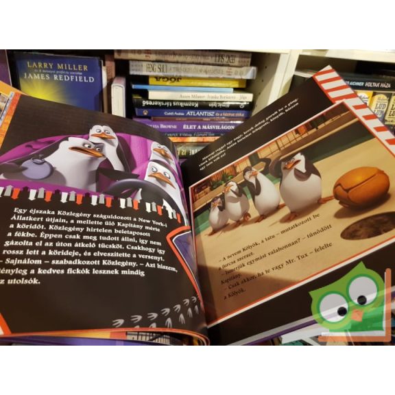 Kedvenc mesehőseink kalandjai  (Dreamworks)