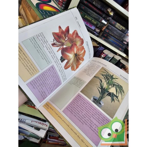 Kelemen Veronika (szerk.): Kedvenc növényeink