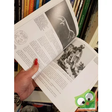   Stephen Allen: Kelta harcosok - i. e. 300. - i. sz. 100. (Osprey - Harcosok 4.)