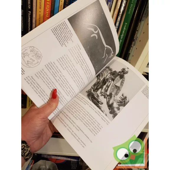 Stephen Allen: Kelta harcosok - i. e. 300. - i. sz. 100. (Osprey - Harcosok 4.)