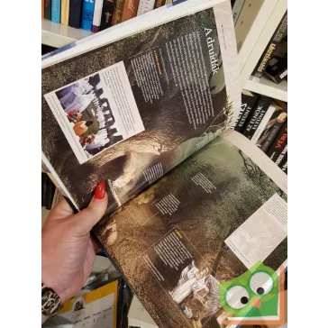   Daniel Gimeno (szerk.): Kelták és vikingek (Nagy civilizációk 13.)