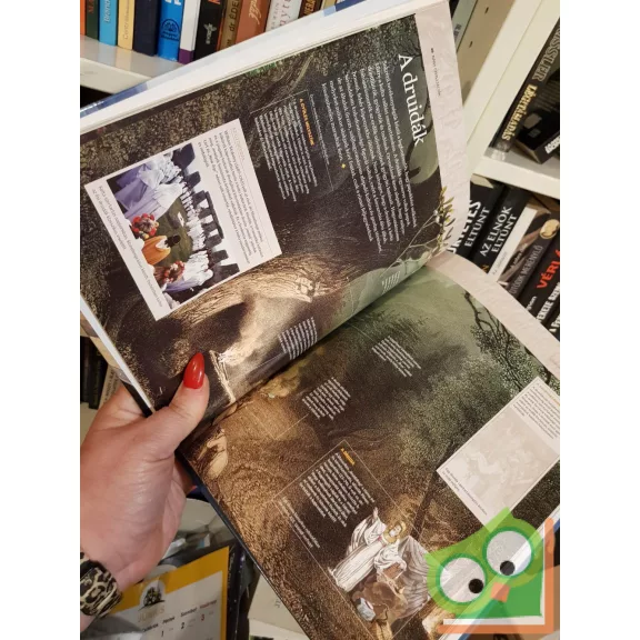 Daniel Gimeno (szerk.): Kelták és vikingek (Nagy civilizációk 13.)