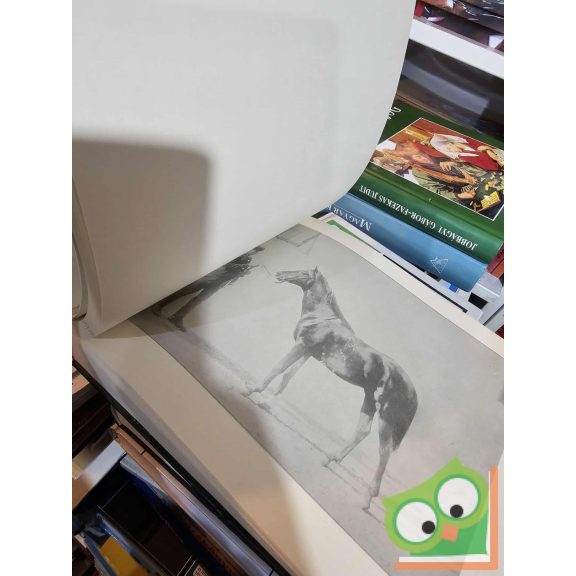 Képek Magyarország Állattenyésztéséből