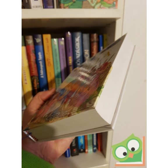 Képes Biblia díszdobozban