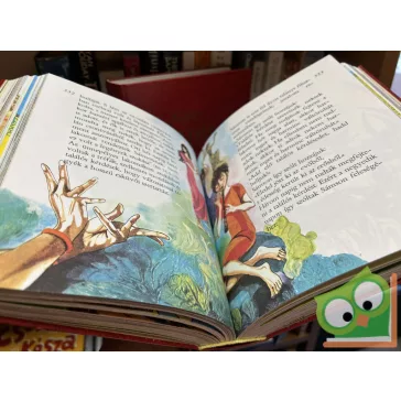 Képes ​Biblia I-II. (két kötet egyben)