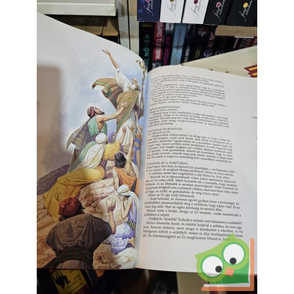 Gianfranco Ravasi (szerk.): Képes Biblia - Történetek az Ó- és Újszövetségből