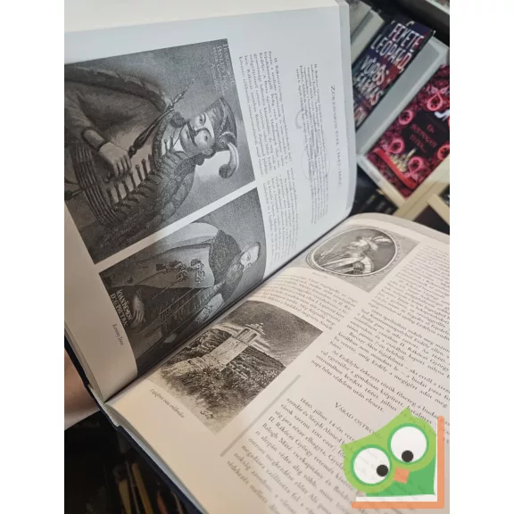 Mitták Ferenc: Képes magyar história