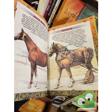 Képes paci lexikon - Lófajták kézikönyve