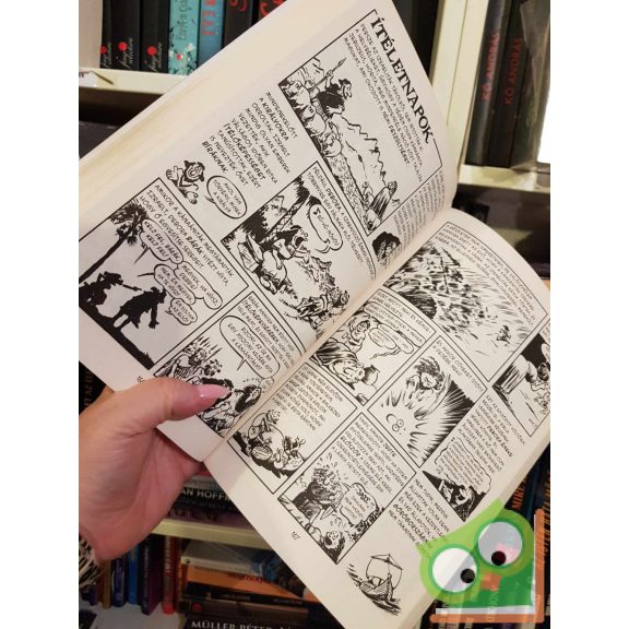 Larry Gonick: Képregényes világtörténet 1. (ritka)