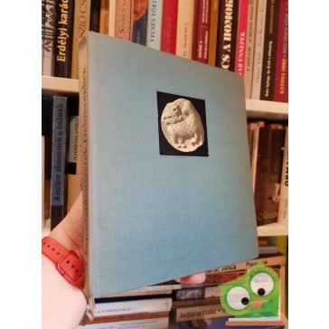 A képzőművészetek Debrecenben