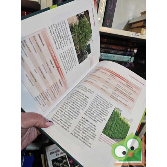 Peter Hagen: Kerítések, védőfalak és sövények - Kerttervezés