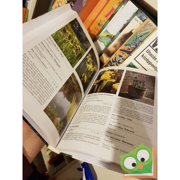 Hanneke Van Dijk, Mineke Kurpershoek: Kerti csodák