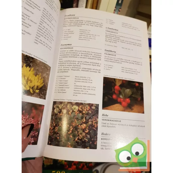 Klaas T. Noordhuis: Kerti növények enciklopédiája (ritka)