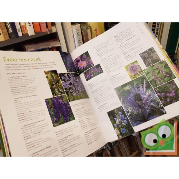 Reader Digest's: Négy évszak a kertben - Késő nyár