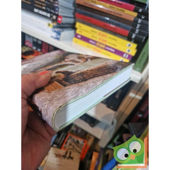 Marx József: A kétdimenziós ember - A játékfilm dramaturgiája