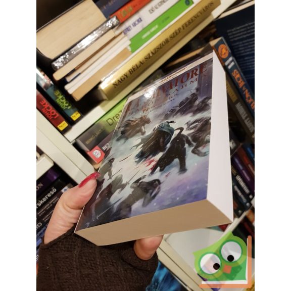 R. A. Salvatore: Kharón Karma (Neverwinter 3.) (Drizzt legendája 22.)