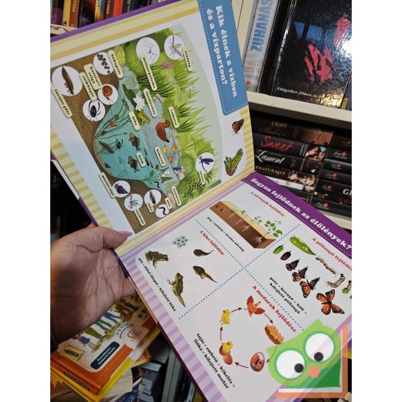 Kicsik enciklopédiája  - Tágabb környezetünk - 2-5 éves gyermekeknek