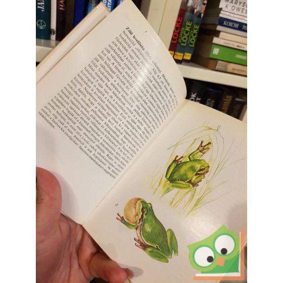 Janisch Miklós: Kígyók, békák (Búvár zsebkönyvek)
